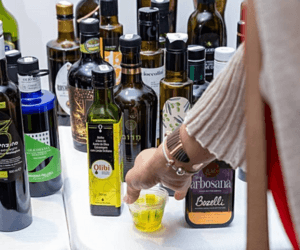 Olibi Safra 2025 já está disponível! Fresco, saudável e premiado, produzido com olivas verdes selecionadas manualmente e extraído a frio.